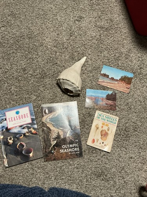 #ad Vintage Lot Of Seashore Items Postcards 3 Books Large Conch Pacific $21.00