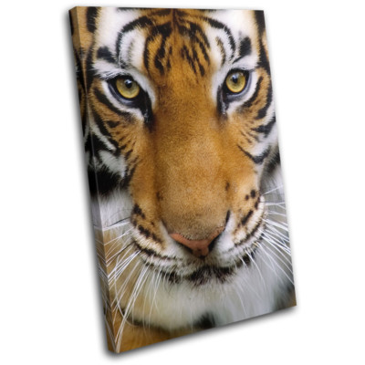 Tiger Face Zoo Eyes Home Gift Animals SINGLE CANVAS WALL ART Picture Print