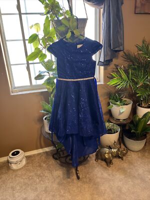 rare editions girls dress 10