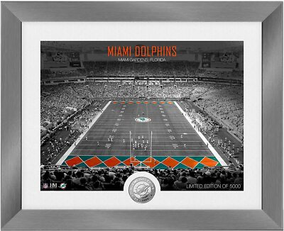 NFL Highland Mint Miami Dolphins Art Deco Stadium Silver Coin Bild 40x33cm