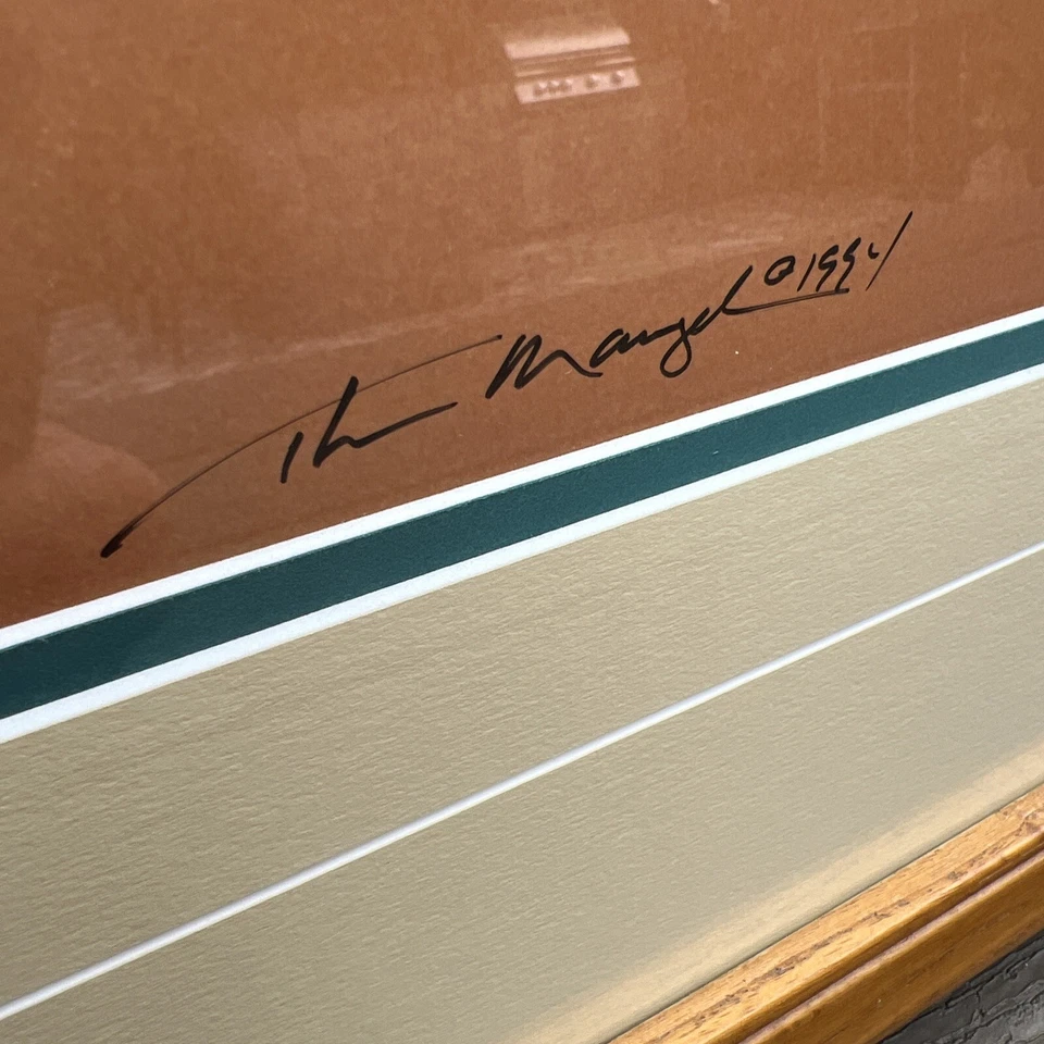 Foto artística firmada por Thomas Mangelsen Ltd pelícanos aves alas al atardecer numeradas MCM Foto 4 de 4