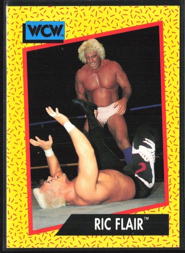 1991 Impel WCW Ric Flair #43 card