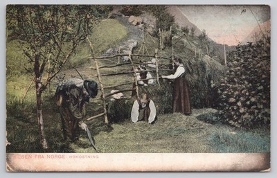 Hilsen Fra Norge Vintage Postcard Norway Farm Haying Scene 1900s Haugstad