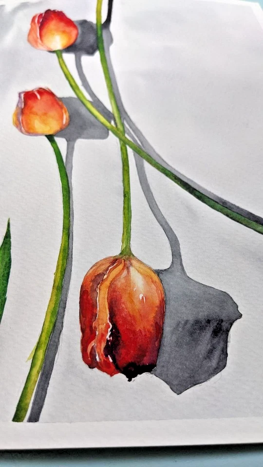 Pintura Acuarela Tulipanes Rojos A4 Flores Sombra Moderno Floral Arte Minimalista Foto 2 de 4