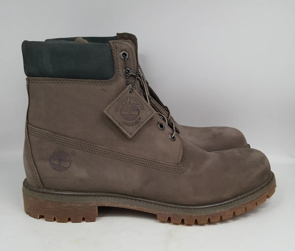 Timberland 6in 2025 prem bt wp