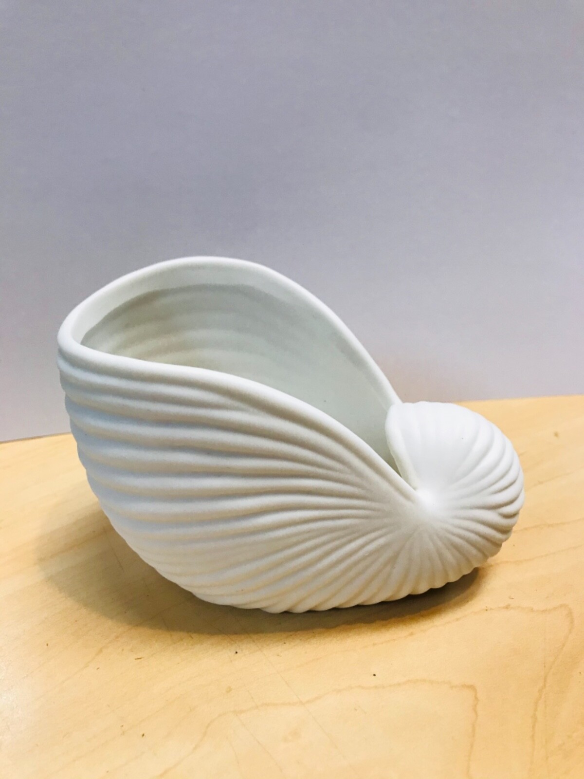 Seashell Design Ceramic CANDLE HOLDER eBay