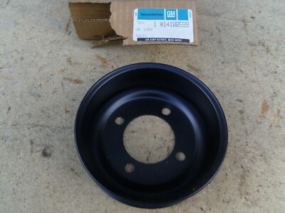 Pontiac Firebird Chevrolet Camaro 3,1 Riemenscheibe Wasserpumpe NOS GM 14100599