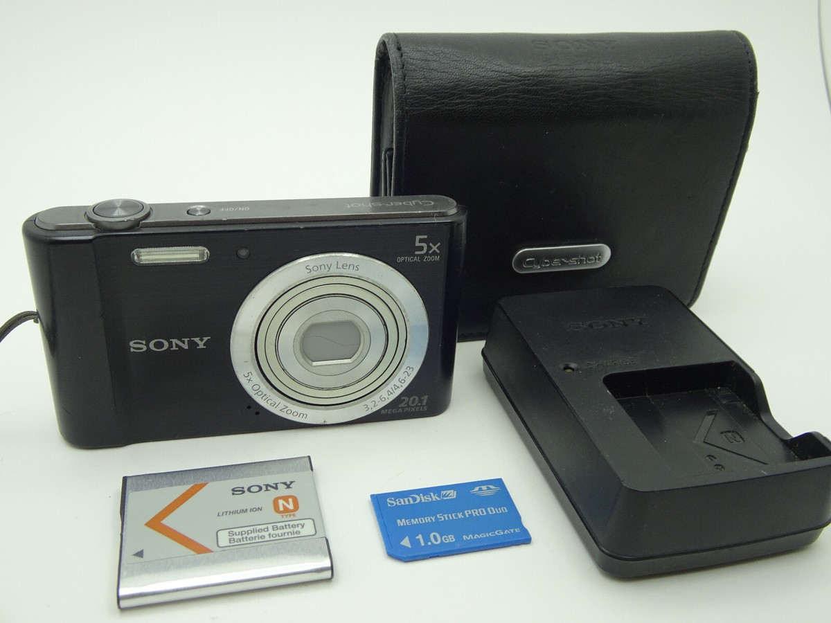 Sony Cyber-shot DSC-W800 Digital Camera 5 X Optical Zoom