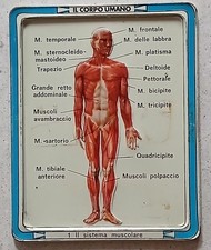 Placca metallo IL CORPO UMANO nr. 1 gadget Corriere dei Piccoli 1972/73