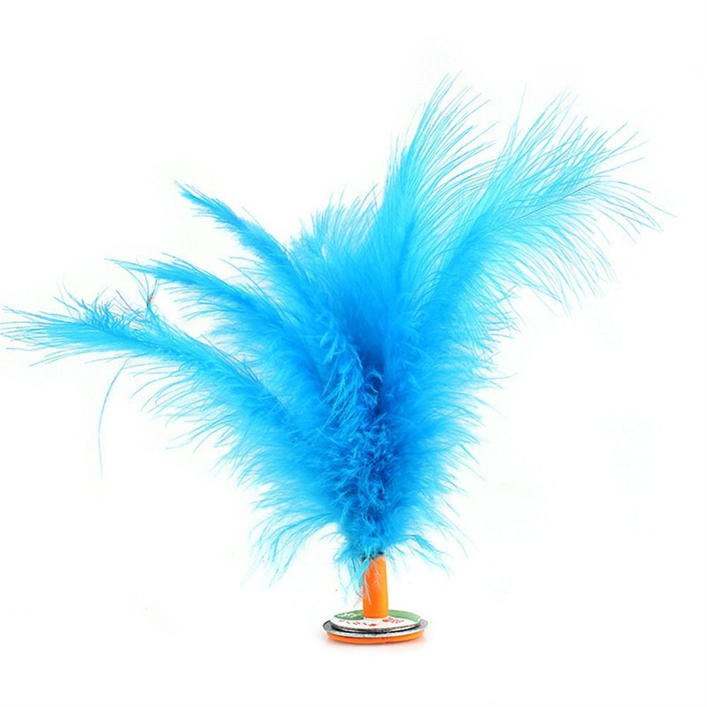 Outdoor Toy Feathers Shuttlecock Handwheel Feather Jianzi Leg Muscle eBay