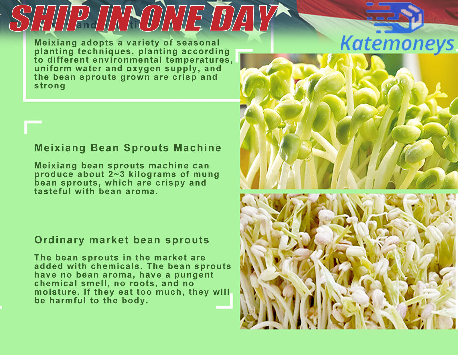 2-Layer Bean Sprouts Machine Large Capacity Automatic Bean Sprouter Grow Tool US