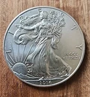 2014 - 1 oz American Silver Eagle Coin - One Troy oz .999 Bullion
