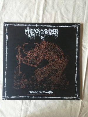 1 Schallplatte LP Vinyl Grindcore;  Terrorizer: Before The Downfall