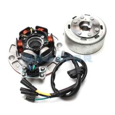Kit Rotore Bobina Statore Magneto Luce per Motore 150cc 160CC Sporco Pit Bike 