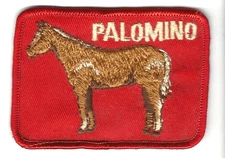 Palomino Horse Sew On Embroidered Patch 3.5 in Vintage FFA 4-H Rodeo Farm Ranch