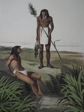 Antique Chromolithographs from Emory's Report "Arenenos", 1857-59