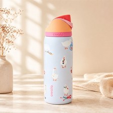 Owala Silly Goose Freesip 32oz Limited Editio...
