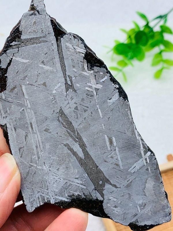 152G Natural Aletai Iron Meteorite Cut Slabs Etched Perfect Fusion Crust