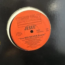 You Will Never Know 12” Freestyle Wise Guy Records WG-001-04 1991 Miami