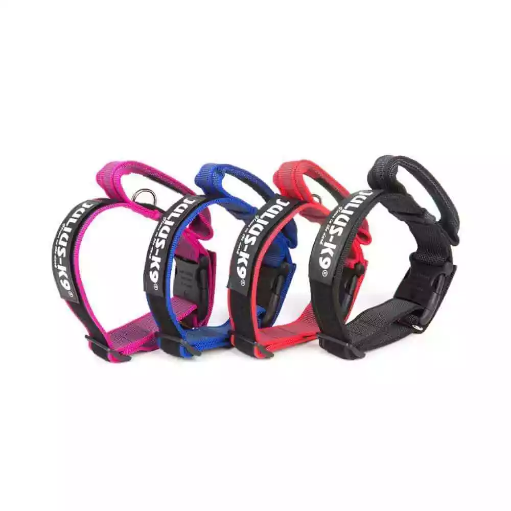 Julius k9 sales collar with handle
