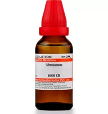 Dr Willmar Schwabe India Abrotanum 1000 CH Dilution 30 ml