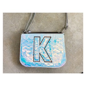 silver mini purse