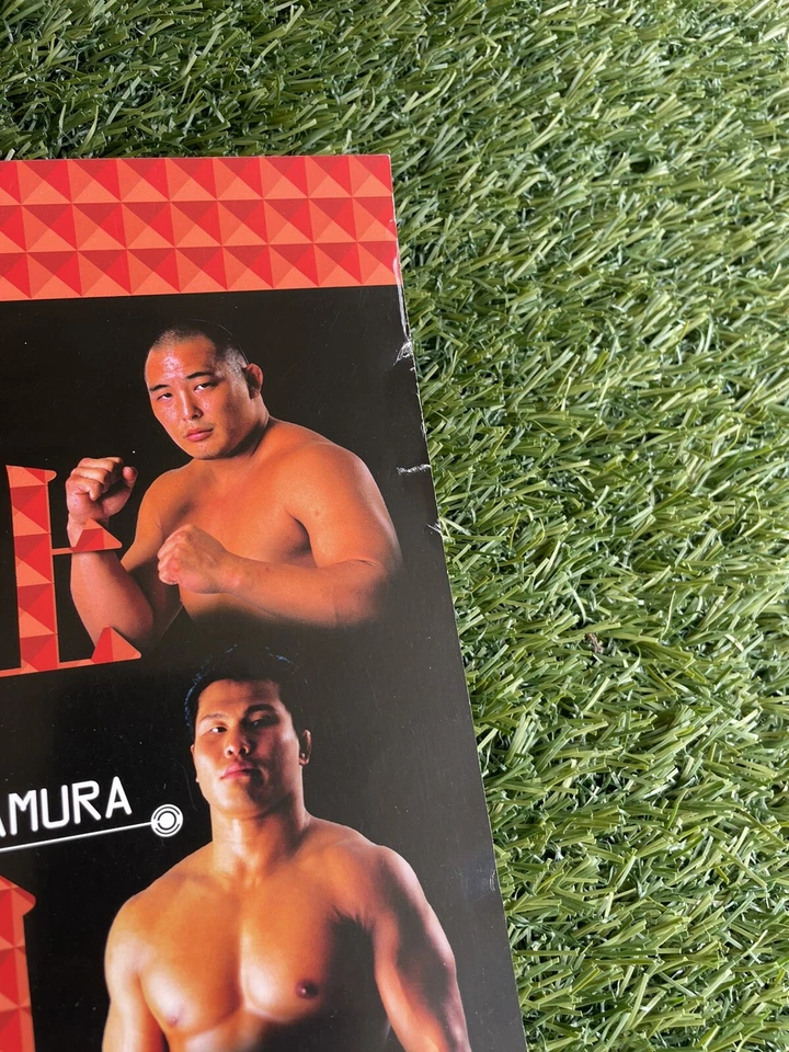 Póster oficial PRIDE FC 19, B2 UFC JAPONÉS, One FC, B2 Foto 2 de 4