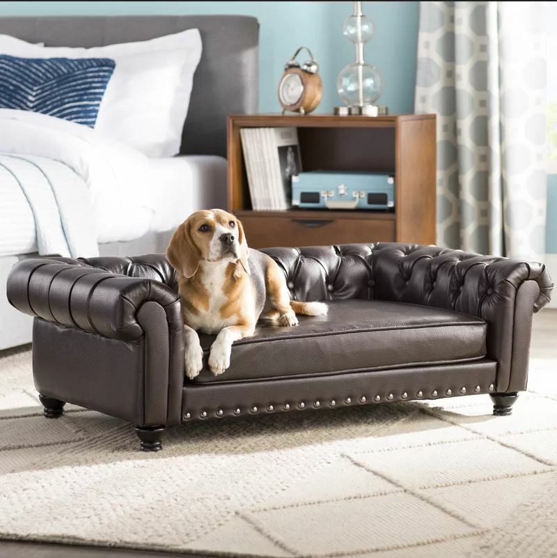 ebay dog sofa