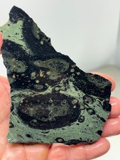 Kambaba Jasper Stromatolite Slab Lapidary Cabbing Combo Ship Avail