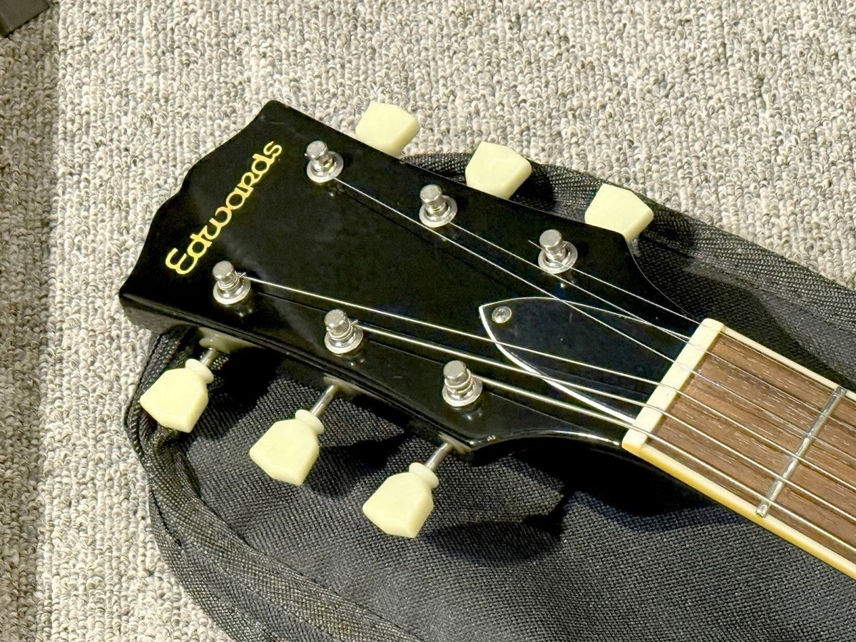 EDWARDS E-SG-85 | eBay