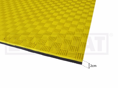 10sqm 20mm Eva Interlocking Floor Mats Gym Judo Exercise Martial