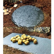 Reptile Basking Platform Tortoise Rock Feeding Dish