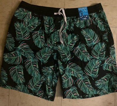 Chubbies 2X Swimming Trunks “The Frond Of Yous” | eBay