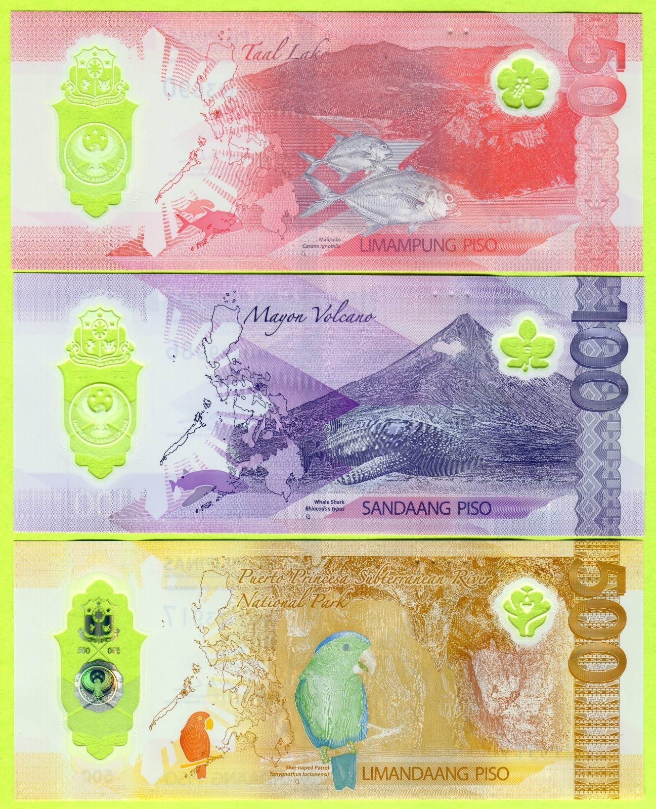 Philippines 50 100 500 Piso 2024/2025 Pnew UNC - Polymer