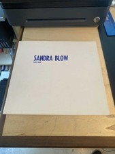 Sandra Blow: Recent Work 1991 Very Good Abstract Art Painting 1st PB