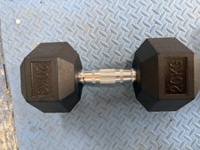 20kg Hex Dumbbell