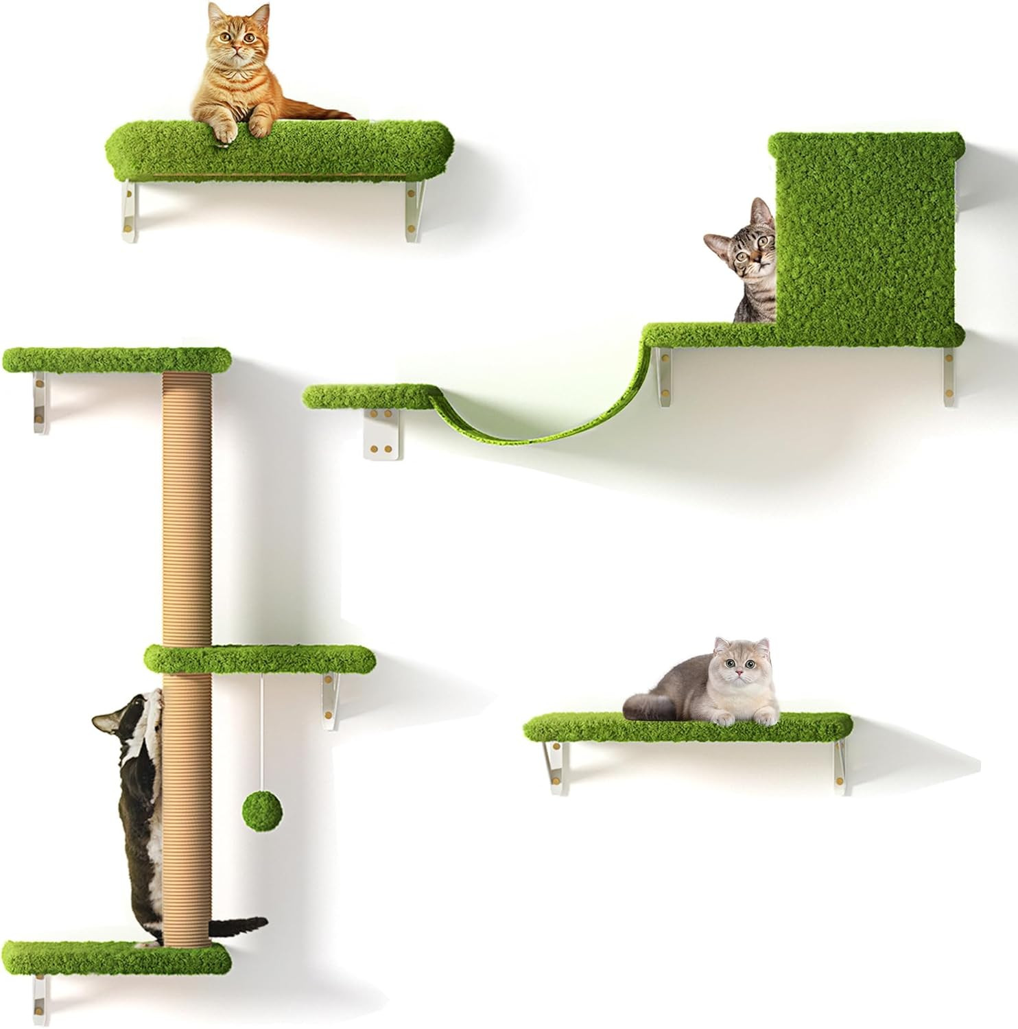 Palestra da Parete per Gatti 4 Pezzi: Percorso Arrampicata e Gioco - 1