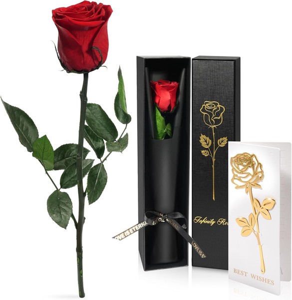 Yamonic Ewige Rose Geschenke FüR Frauen,Infinity Rosen Mit Stiel-image