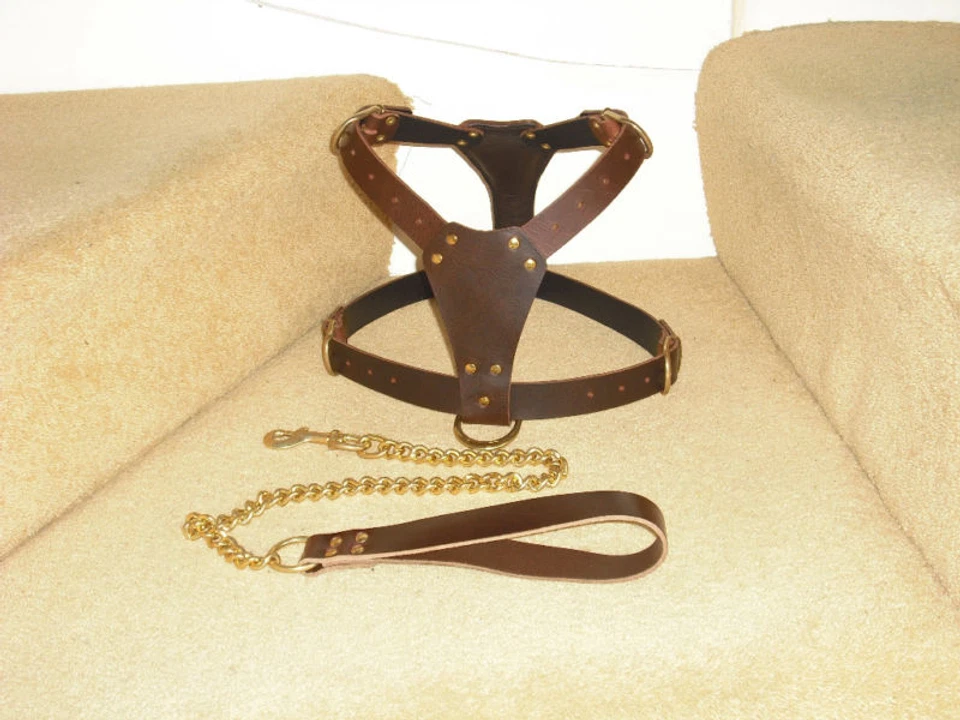 BROWN PADDED LEATHER DOG HARNESS FOR STAFFY WITH LEAD - Image 4 of 4