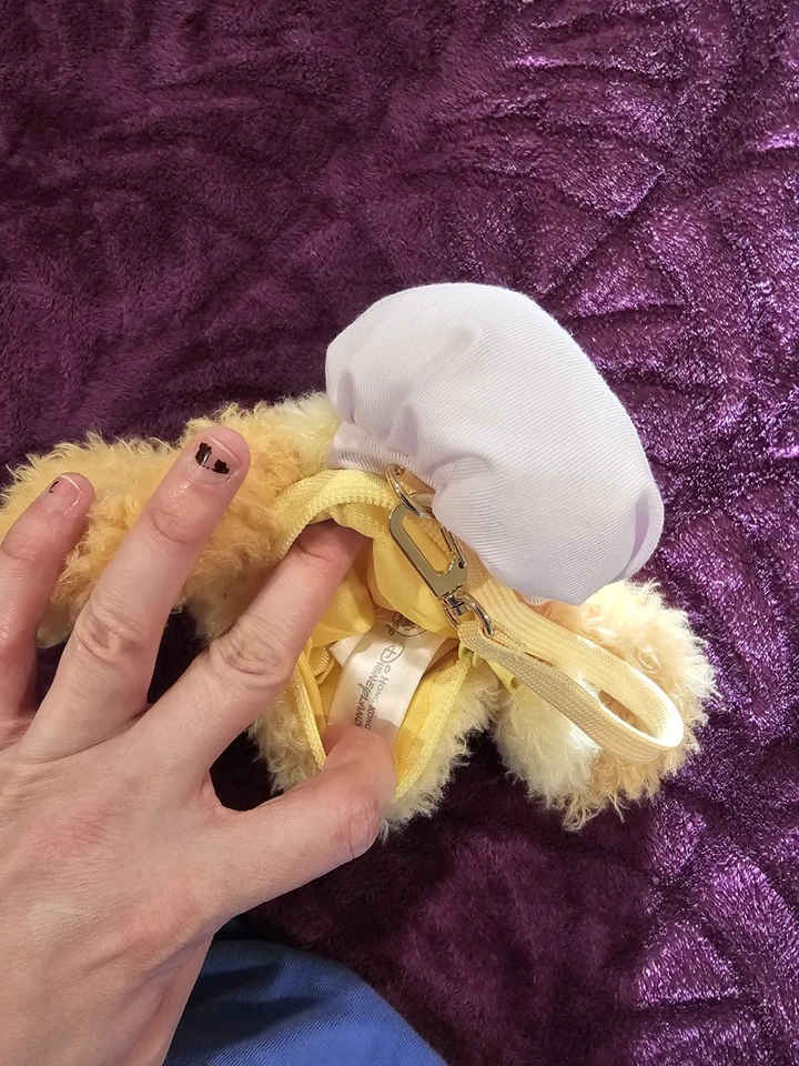 Auténtico Hong Kong Disney CookieAnn Lindo Dibujo Animado Peluche Monedero Llavero Nuevo Foto 3 de 3