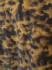 Bild 6 von 9