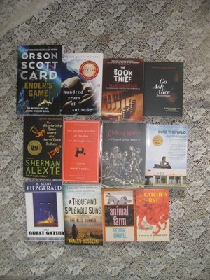 Lot of 10 YA Teen BANNED books -Orwell,Gatsby,Curious Incident,Gio Ask Alice,++