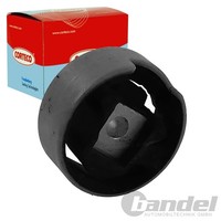 Corteco Motorlager Unten Hinten Passend FüR Audi A3 Seat Altea Leon Skoda Octavi