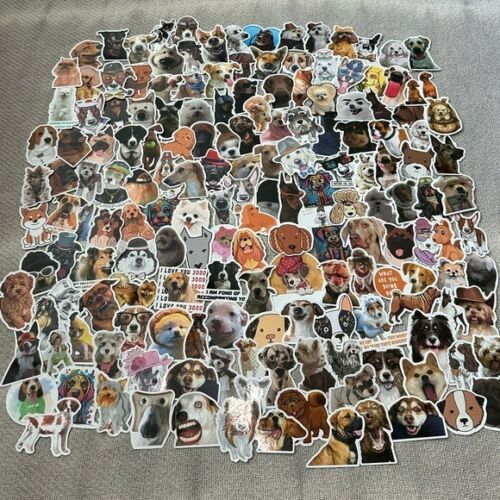 RIESIGE Menge Hundeaufkleber lustig süß Geschenk Welpe dumme Gesichter Zitate - Bild 1 von 10