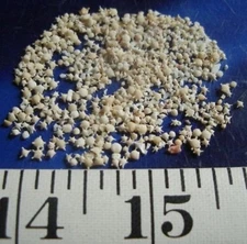 ~ Star Sand ~ Baculogypsina sphaerulata ~ Shellcraft ~ Sailor's Valentines ~