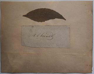 Autograph President Ulysses S. Grant