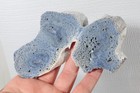 Polished Blue Ridge Coral Display Cabbing 2.9 oz specimen slab lot #8 — photo 2