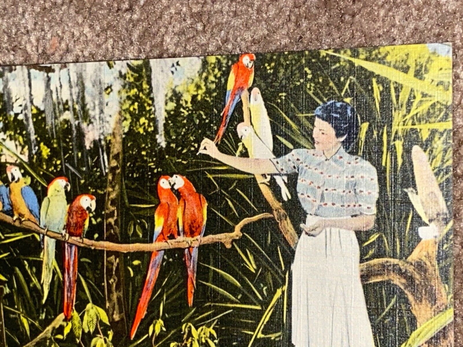 Picture 3 of 5