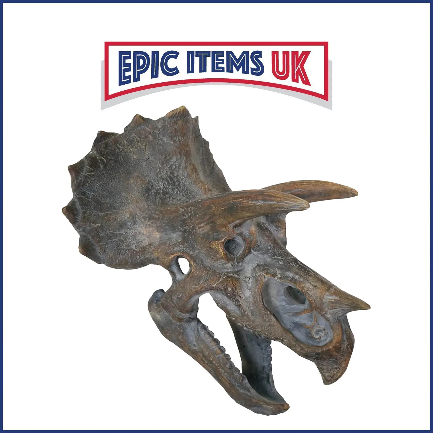 Nemesis Now Triceratops Dinosaur Skull 23cm - IN STOCK