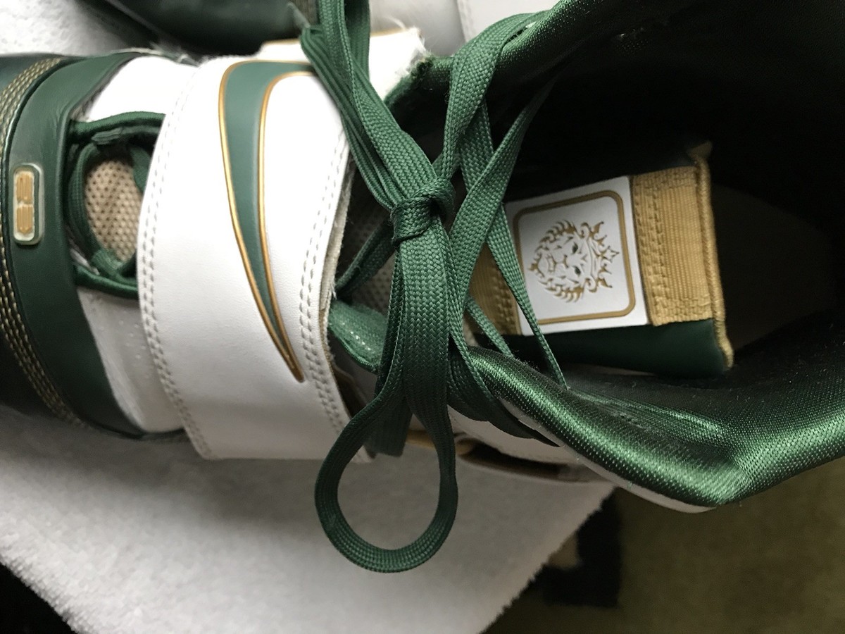 Lebron Soldier IV Mens Shoes Size 18 | eBay display picture 1